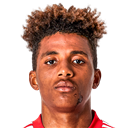 Gedson Fernandes